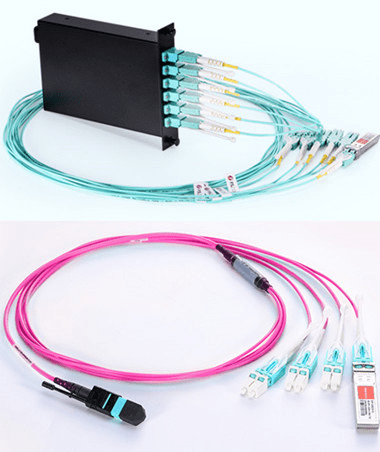 How much do you know about MTP/MPO&nbsp;?